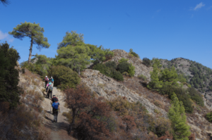 Cyprus on foot!