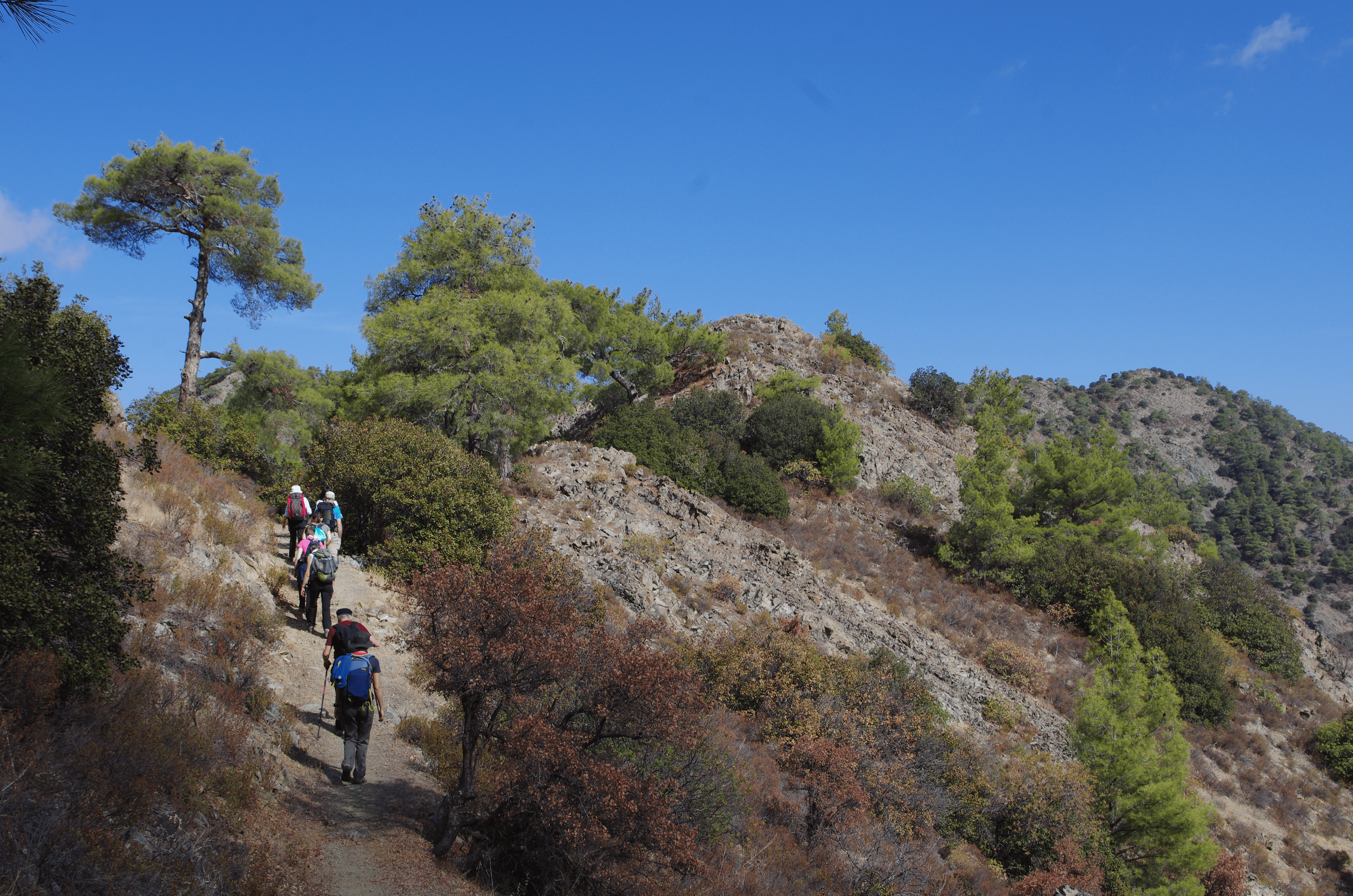 Cyprus on foot!