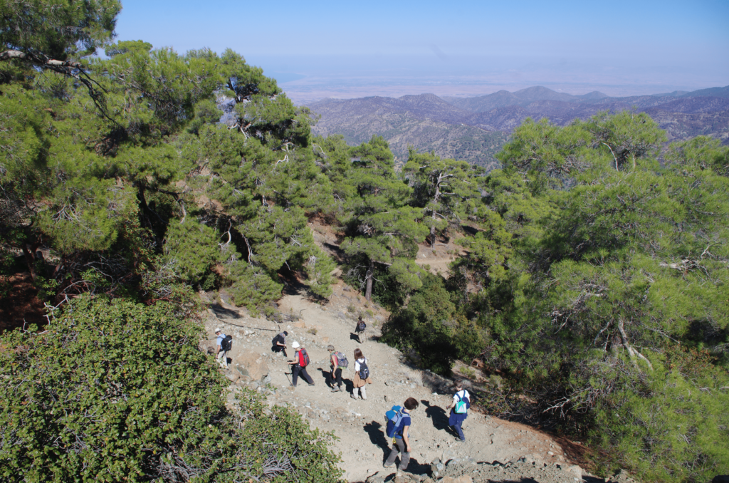 The capital and its surroundings