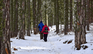 Discover Cyprus… on foot!