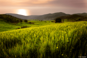 You will be amazed by the magical landscape!