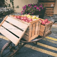 Culinary Tours