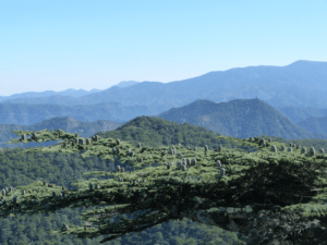 Stay to explore the wonders of Cyprus!