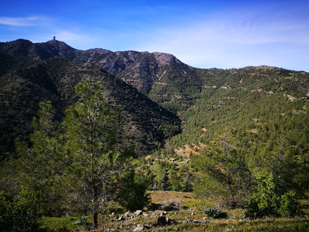 Discover Machairas Forest